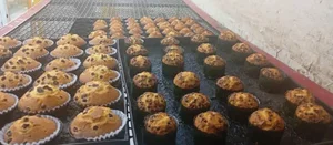 نان فانتزی ماهان 3