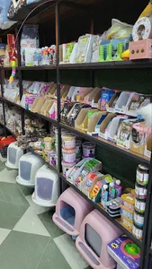 پت شاپ کیتی کت