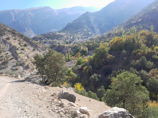 سرتنگ