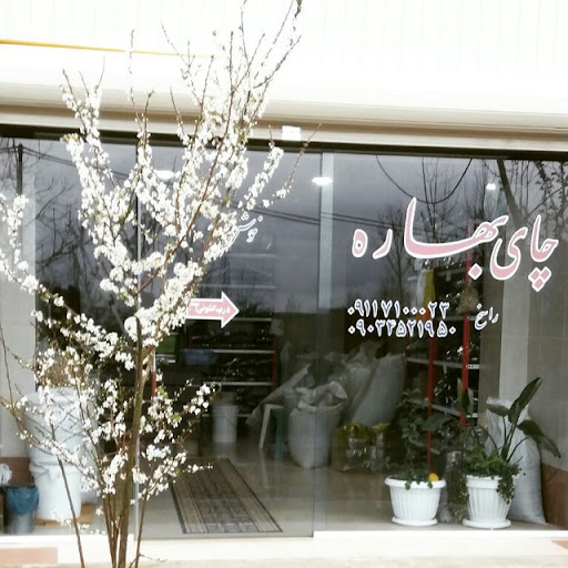 چای بهاره راسخ
