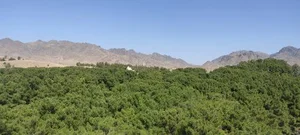 پارک جنگلی سید مرتضی 3