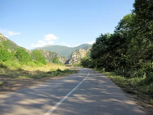 آیش مایان