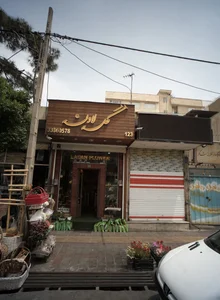 گل لادن 2