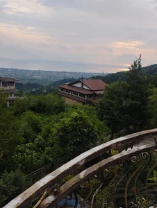 باطری هانی
