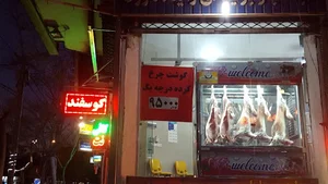 سوپرگوشت آرین