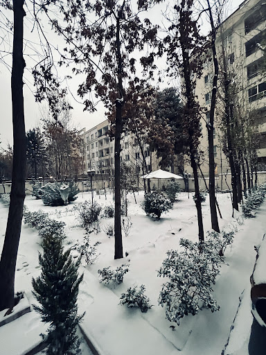 برج باغ آسترال