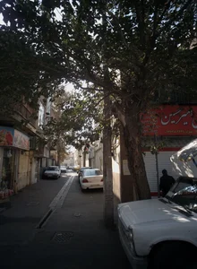 پروتئینی امیر حسین 2