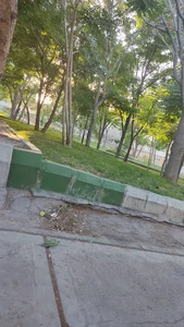 بوستان سعدی