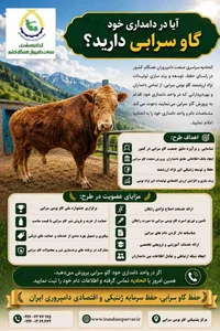 دامداری کردبچه