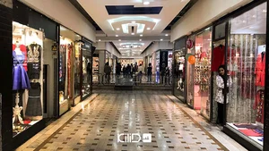 دنیای لوازم داخل آشپزخانه و کمد صدف