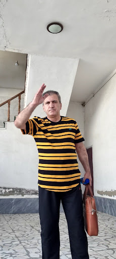 بامبو بابل