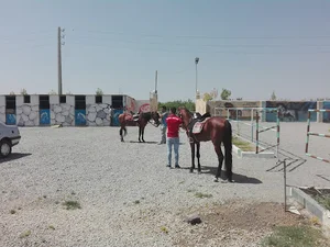 باشگاه سوارکاری سمند رباط كريم