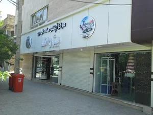 مرکز آپشن خودرو پژواک