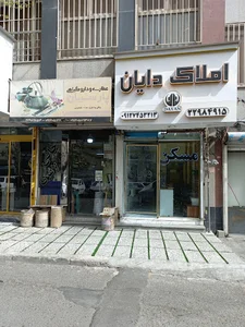 املاک دایان
