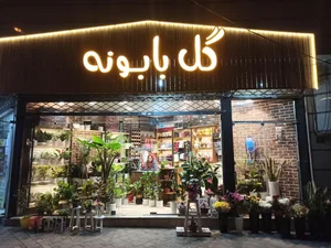 گل بابونه