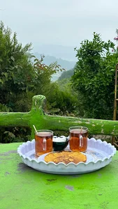 مجموعه گردشگری عمو رشید