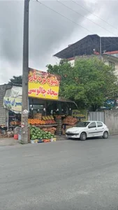 ارزانسرای میوه 3