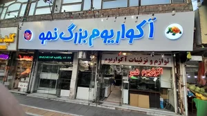 آکواریوم نمو 3
