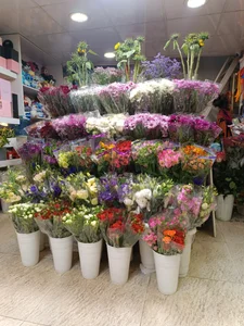 گل نابلس 3