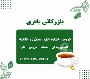 چای اسکندری
