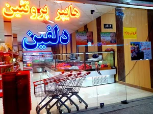 هایپر پروتئین دلفین