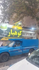 فروشگاه ورزشی مسعود 2
