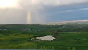 مسجد حضرت علی اصغر (ع)