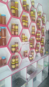 مهدی خردمند