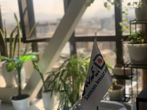 Saman Insurance 8165 بیمه سامان کد ۸۱۶۵