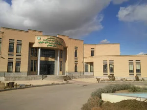 تیم تحقیقاتی مینی سالن