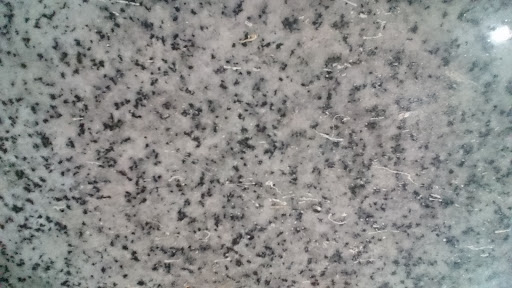نان فانتزی خوشه فارس
