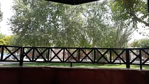 آتش نشانی پارک ولایت