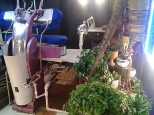 خشکشویی 5