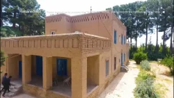 ترانه سرا و نویسنده علی فریدونی
