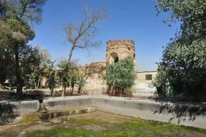 قنادی نانک رز
