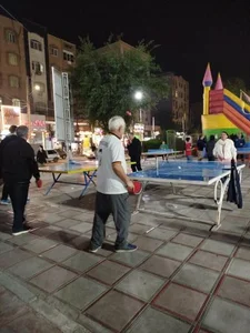 زمین میز پینگ پنگ 5
