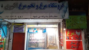 فروشگاه مرغ و تخم مرغ اکبری