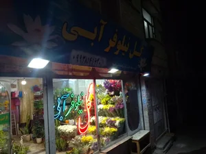 گلفروشی نیلوفرآبی