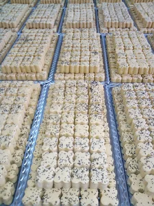 مسجد امیرالمومنین (ع)