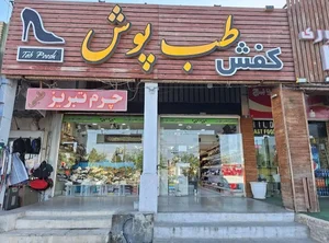 کفش طب پوش 2