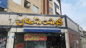سوپرگوشت هستی