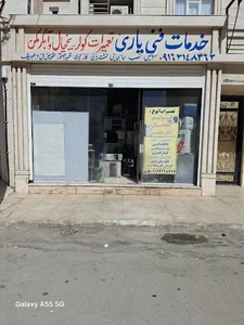سپیدار
