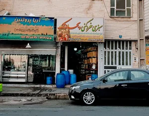 سبزی خردکنی ریحانه تک