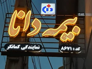 بیمه دانا