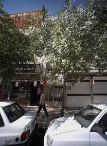 شیرینی شکلات