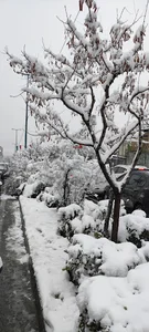 دستشویی عمومی