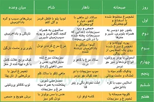 برنامه رژیم غذایی برای افراد چاق - فیتولند