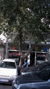 اتوجی