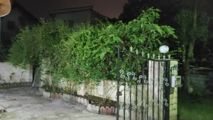 ویلای دکتر صفیعی 4