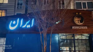 باشگاه فرهنگی ورزشی استقلال تهران 5